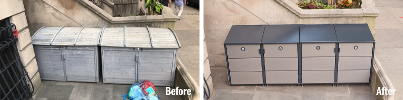 The Rat Epidemic in the Pandemic