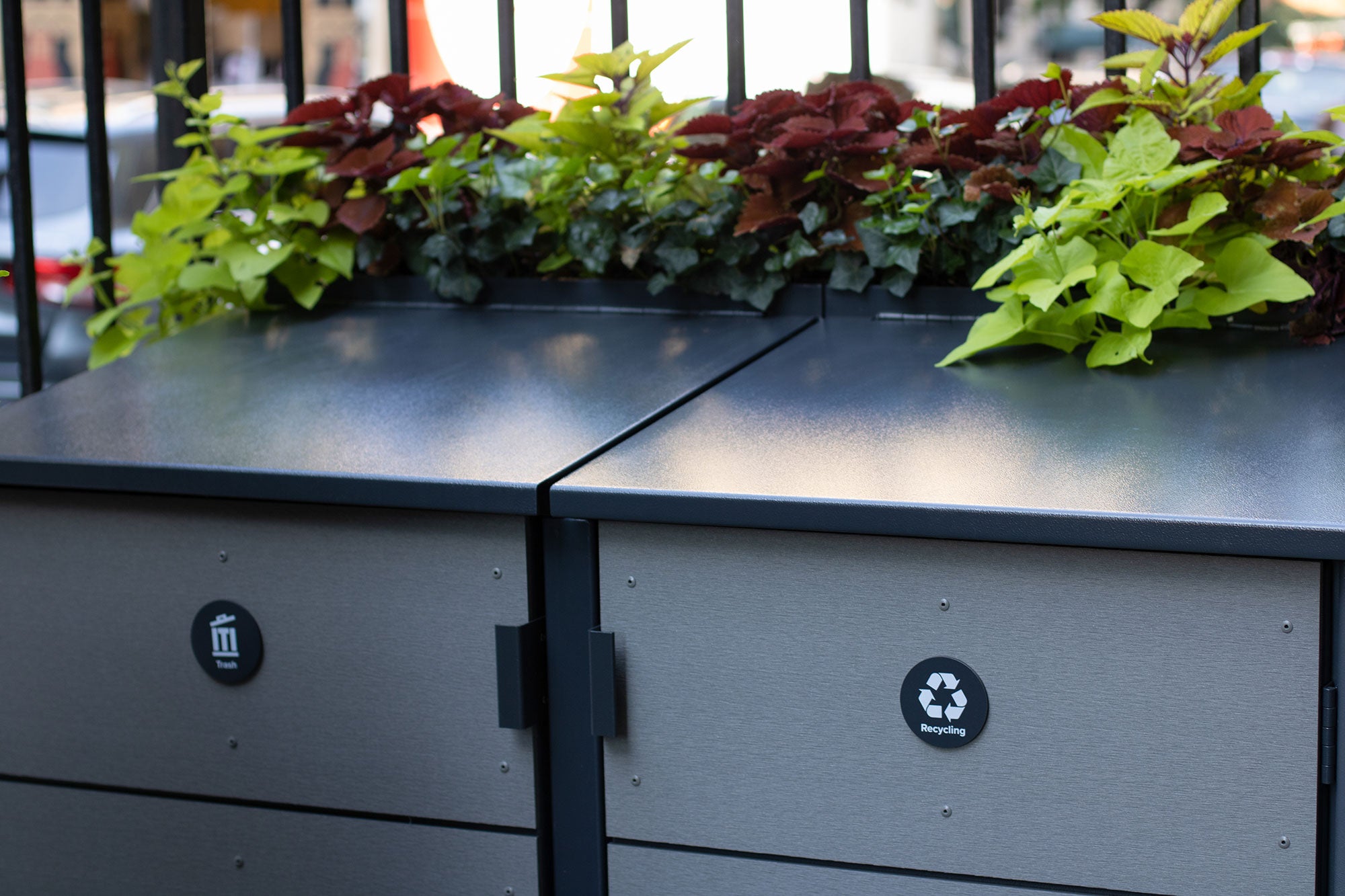 How Early Mistakes Led to Innovation for CITIBIN