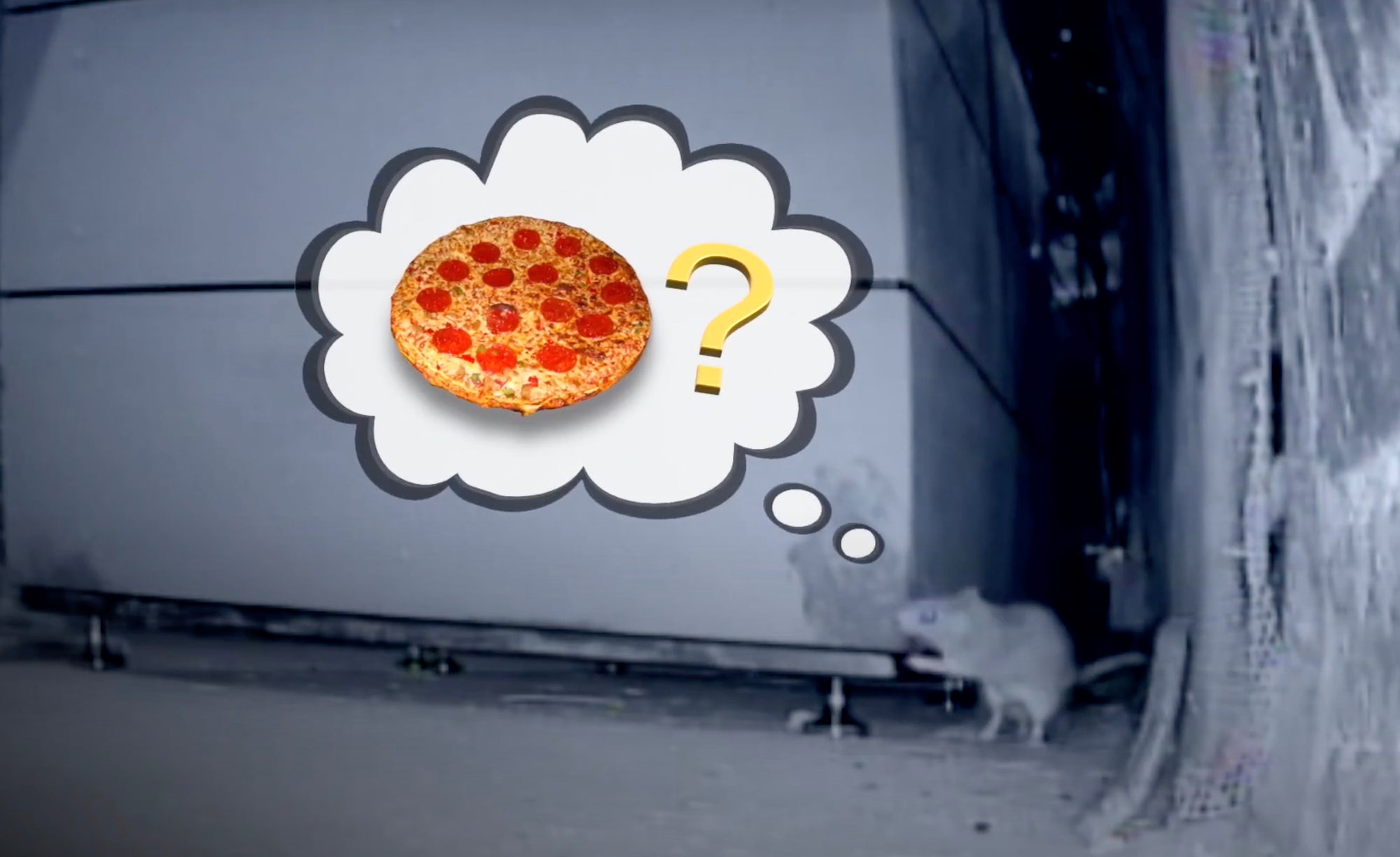 Experiment: Can CITIBIN Keep Rats Away From Trash?