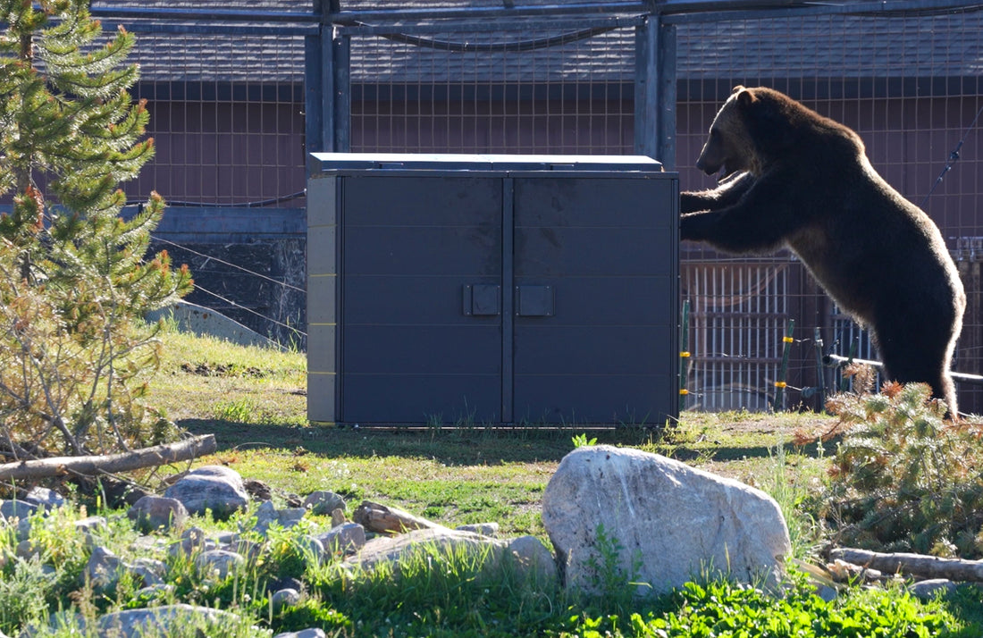 Larger Than Typical Bear Bins