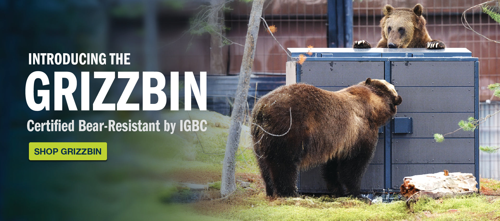 GrizzBin
