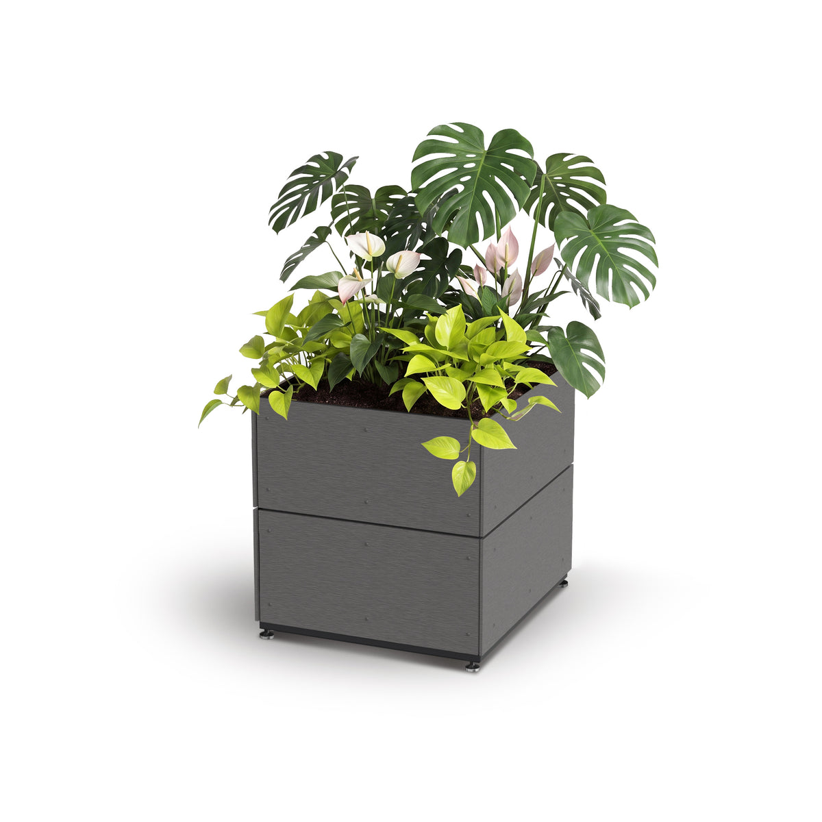 Cube Planter