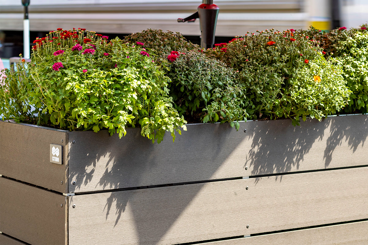 Divider Planters in Charcoal