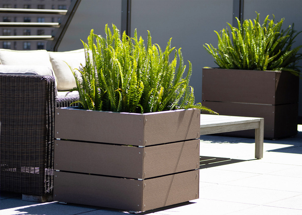 Cube Planters in Coffee