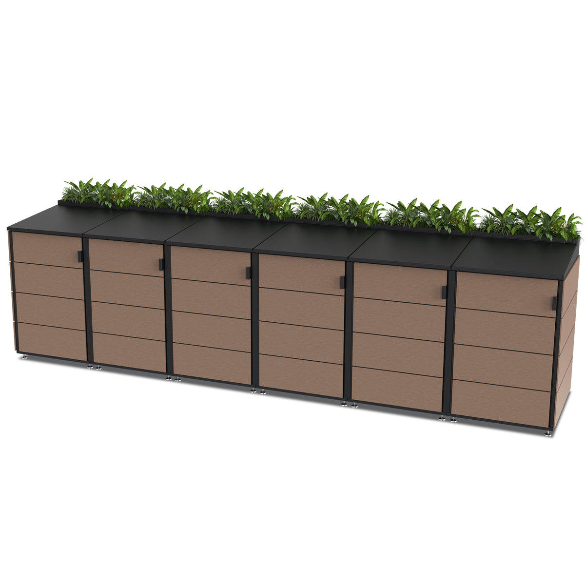 Planter (Medium 6 Coffee)