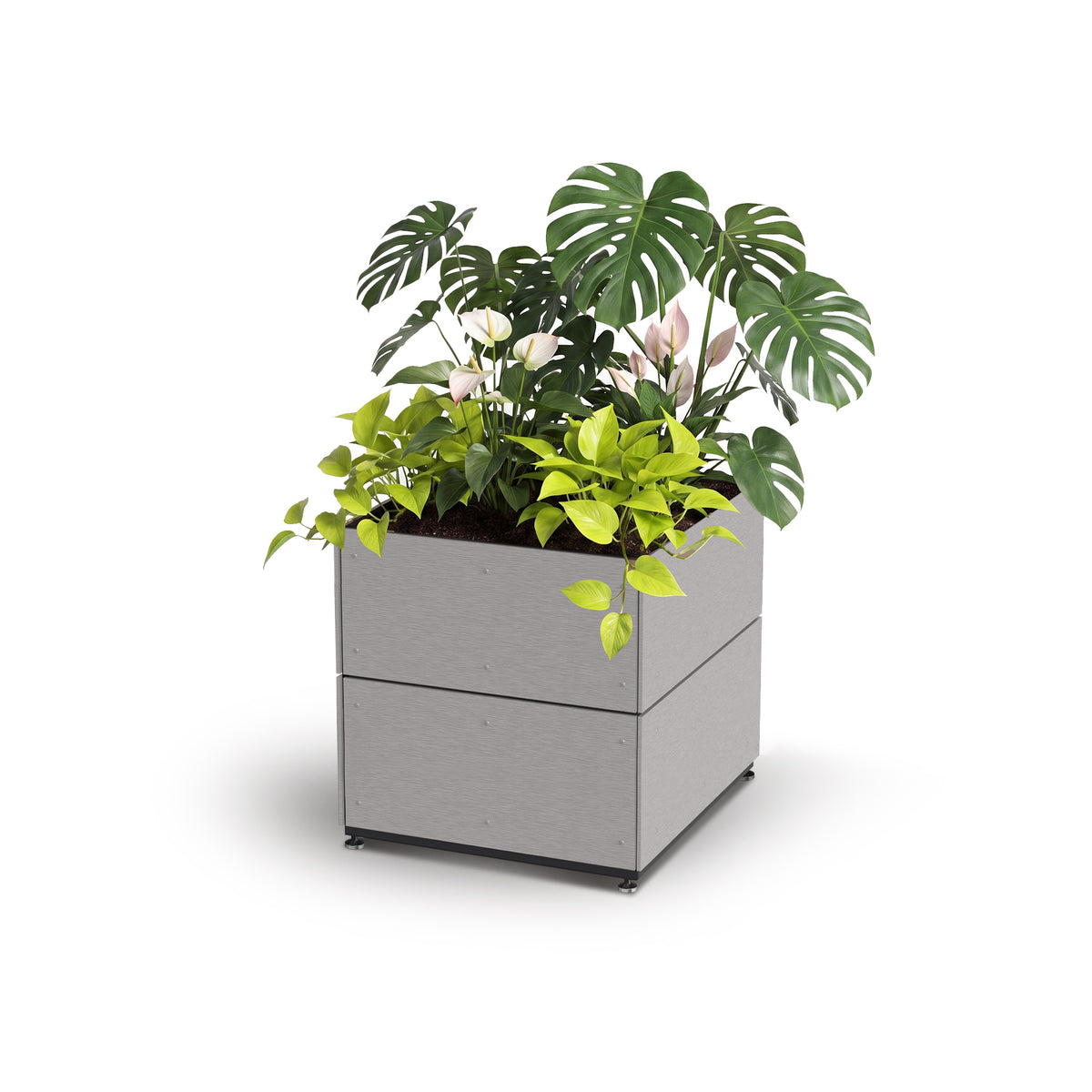 Cube Planter