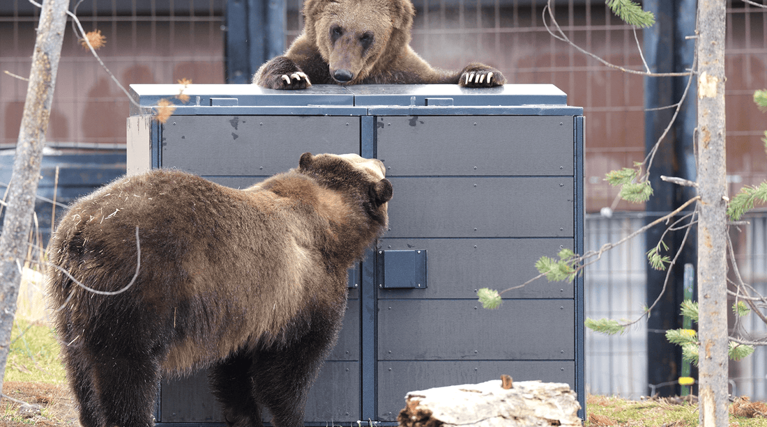 IGBC Certified Bear-Resistant