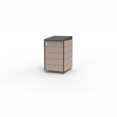 Modern storage shed