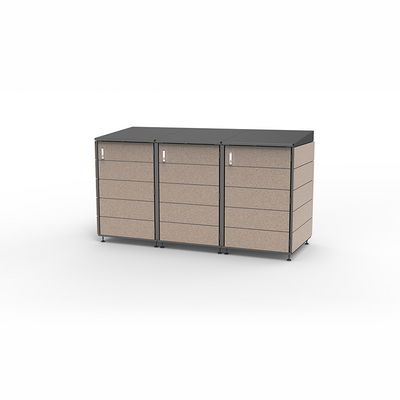 Modern storage shed