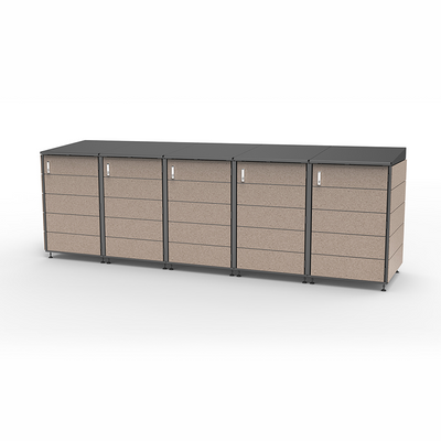 Modern storage shed