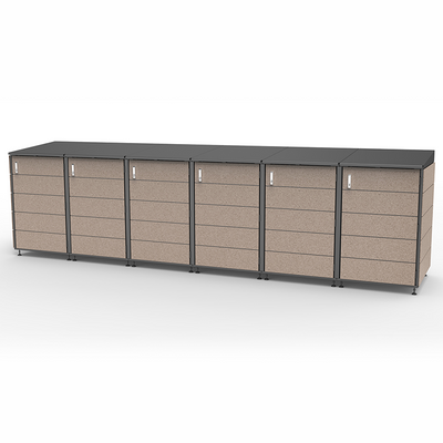 Modern storage shed